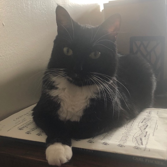 Meet your Posher, Amala - Picture 1 of 1